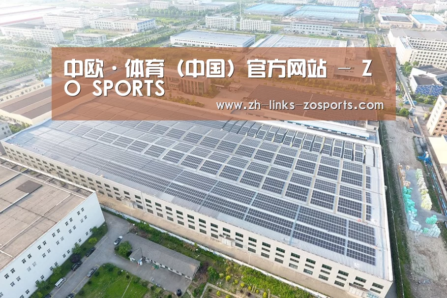 案例展示一