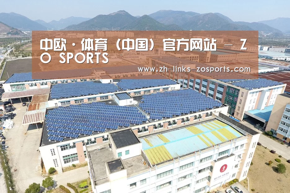 案例展示二