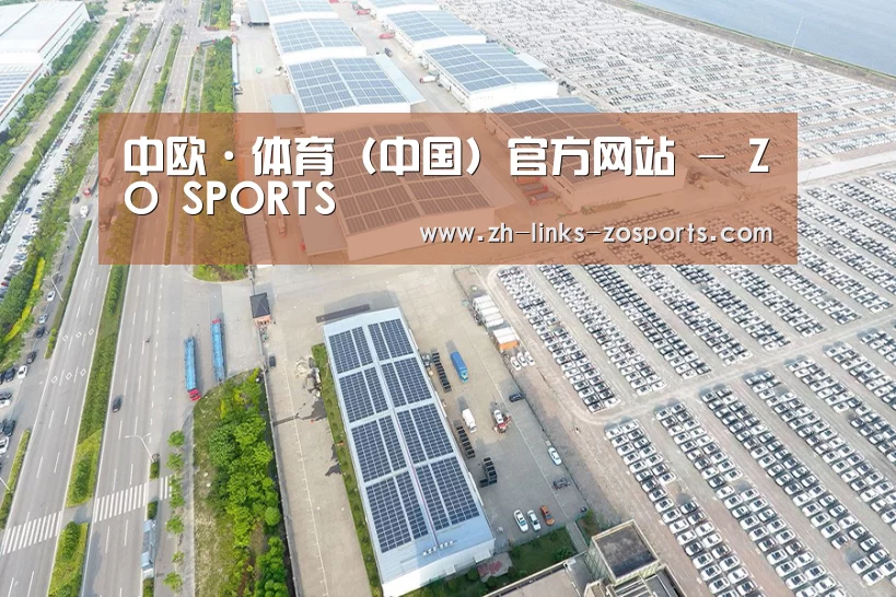 案例展示一
