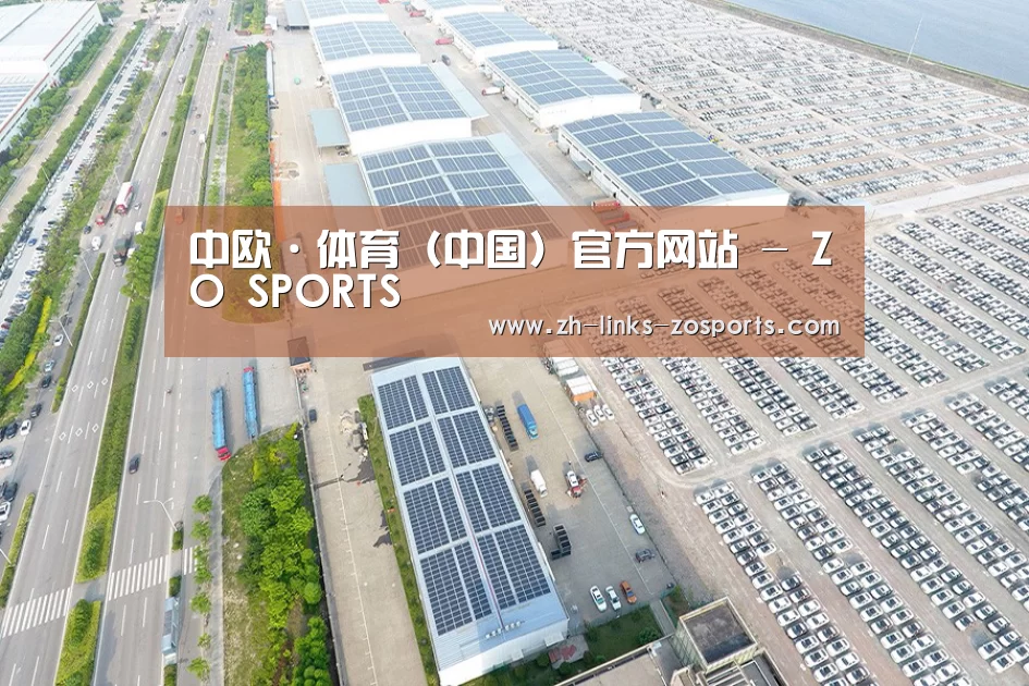案例展示一