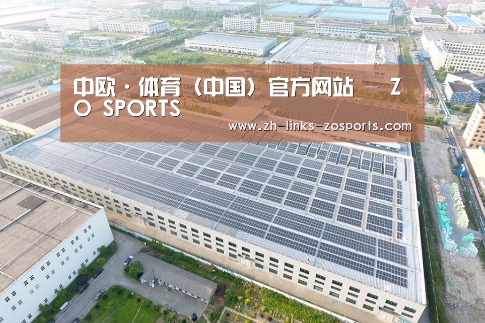 案例展示四