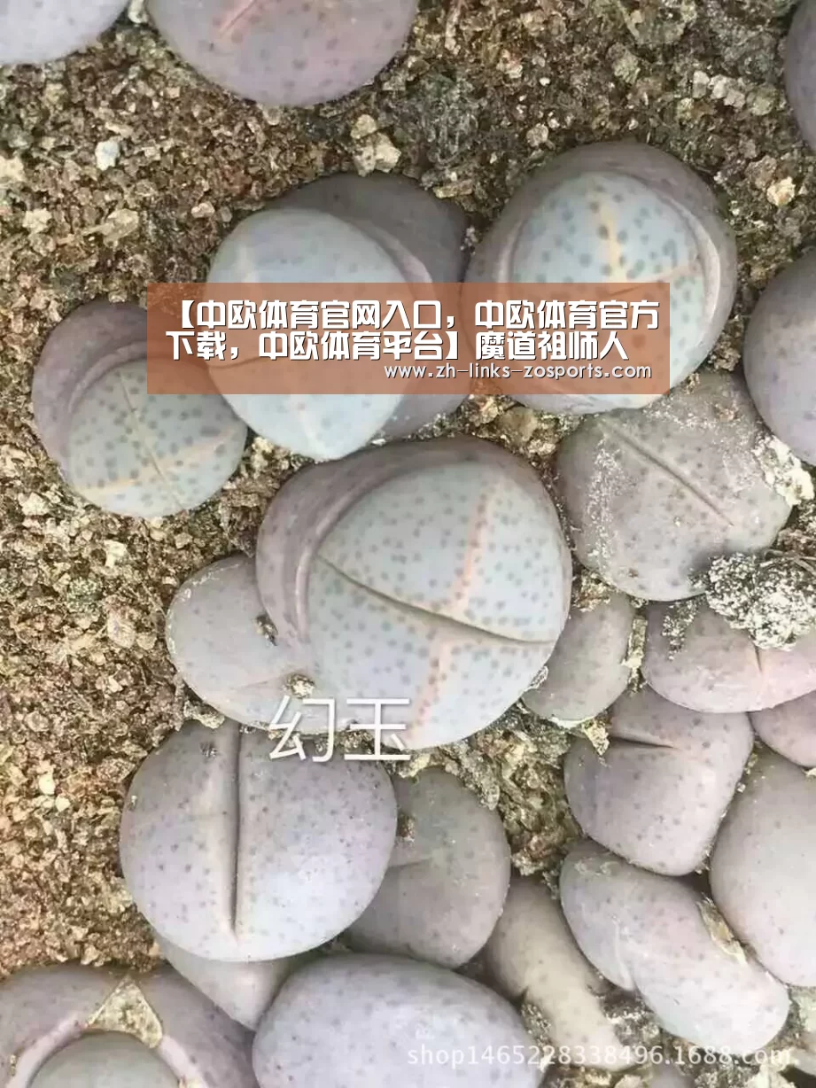 【中欧体育官网入口，中欧体育官方下载，中