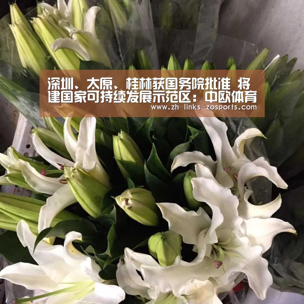 深圳、太原、桂林获国务院批准 将建国家可持续发展示范区:中欧体育官网入口,中欧体育官方下载,中欧体育平台(图1) 中欧体育官网入口,中欧体育官方下载,中欧体育平台