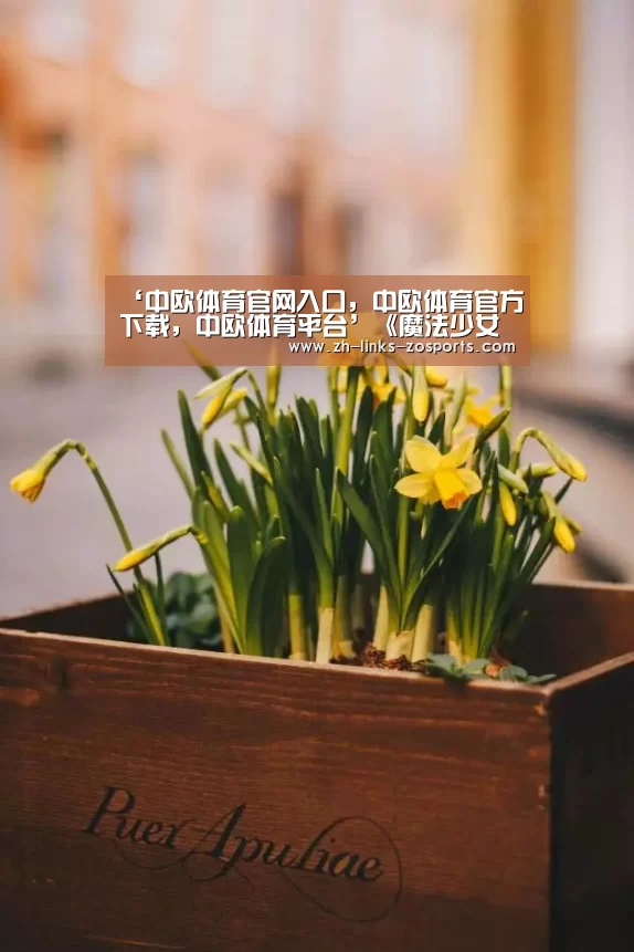 中欧体育官网入口，中欧体育官方下载，中欧体育平台