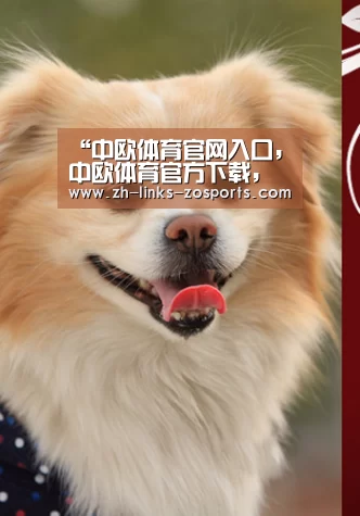 “中欧体育官网入口,中欧体育官方下载,中欧体育平台”重大情报!《刀剑神域》TV动画第3季要来?(图1) 中欧体育官网入口,中欧体育官方下载,中欧体育平台