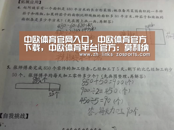 中欧体育官网入口，中欧体育官方下载，中欧体育平台