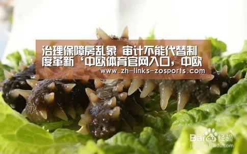 治理保障房乱象 审计不能代替制度革新‘中欧体育官网入口,中欧体育官方下载,中欧体育平台’(图1) 中欧体育官网入口,中欧体育官方下载,中欧体育平台