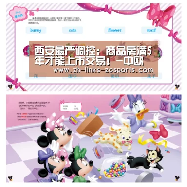 中欧体育官网入口，中欧体育官方下载，中欧体育平台