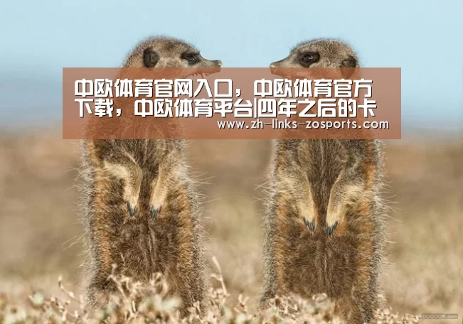 中欧体育官网入口，中欧体育官方下载，中欧